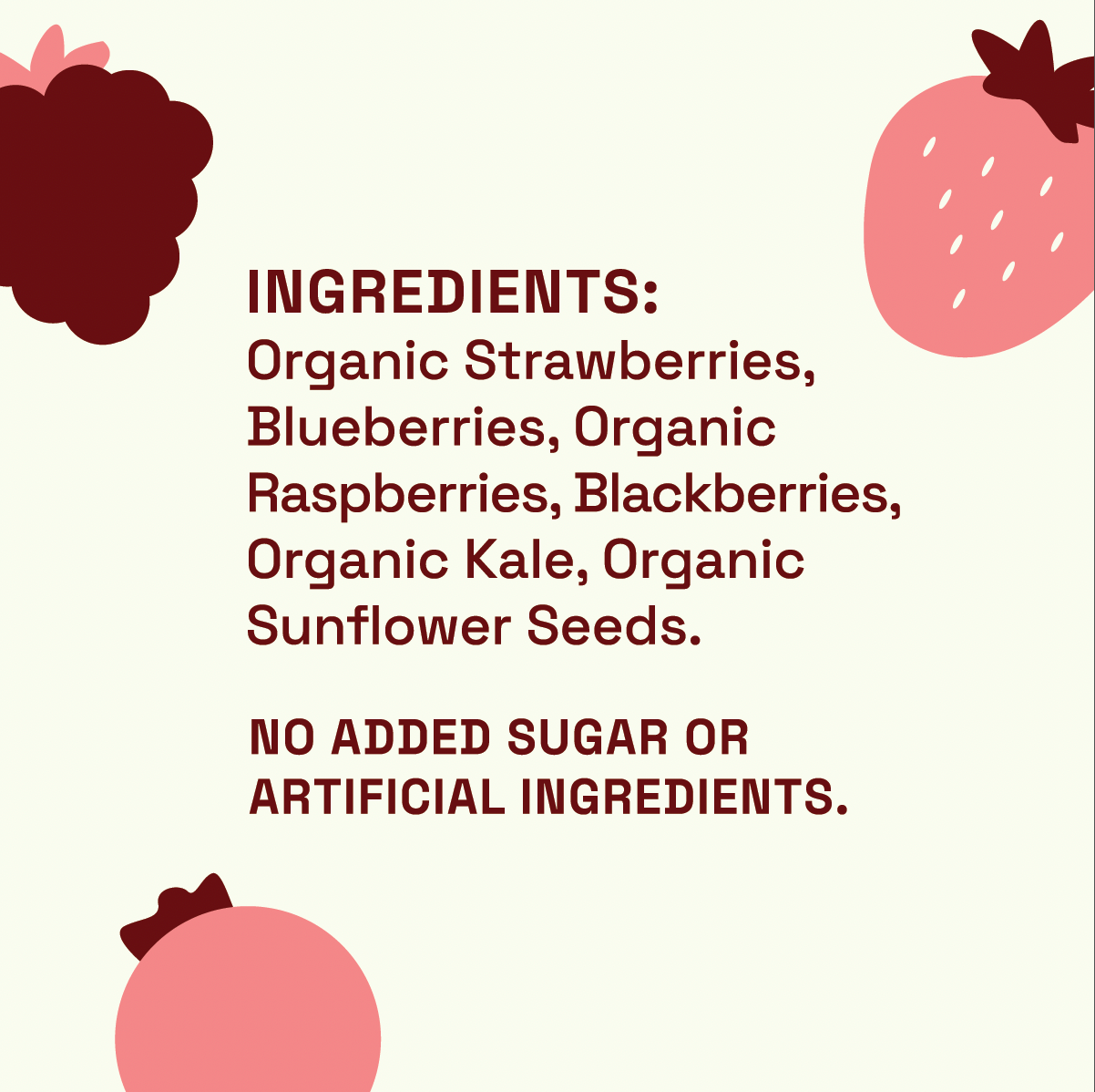 Antioxidant Boost Smoothie
