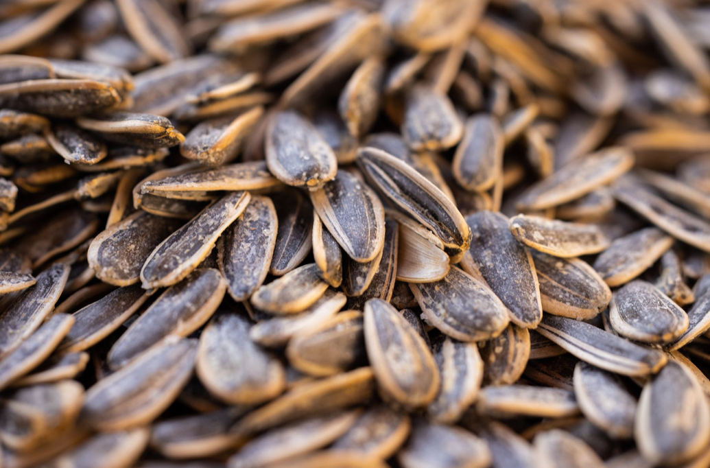 11 Health Benefits of Sunflower Seed Kernels