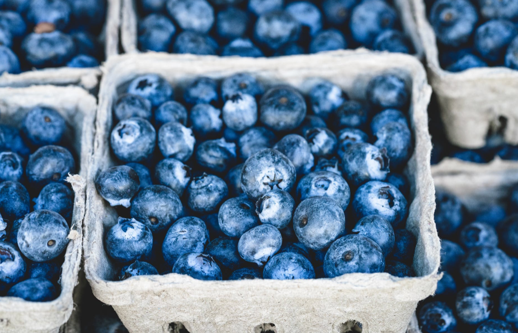 What to Know: 7 Health Benefits of Eating Blueberries