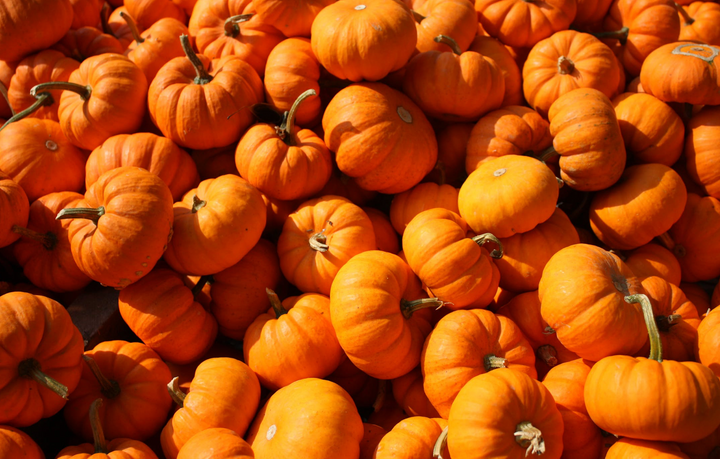 Pumpkin Spice Smoothie Recipe
