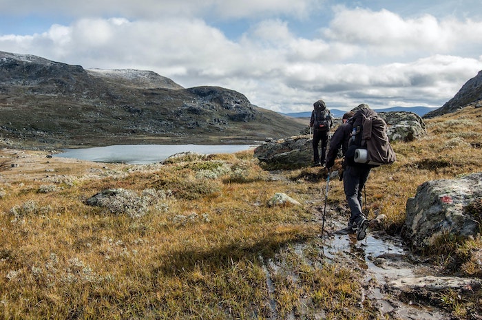 The Mind and Body Remedy: 5 Reasons to Start Hiking