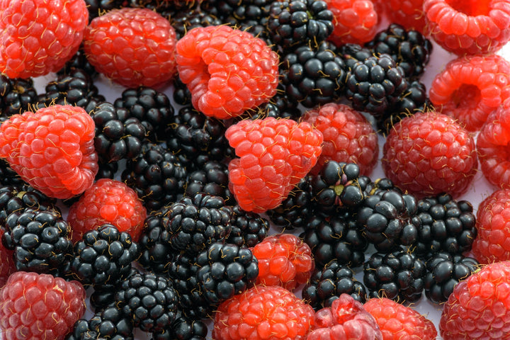Artificial Nutrition & Meal Replacements. Sustainable?